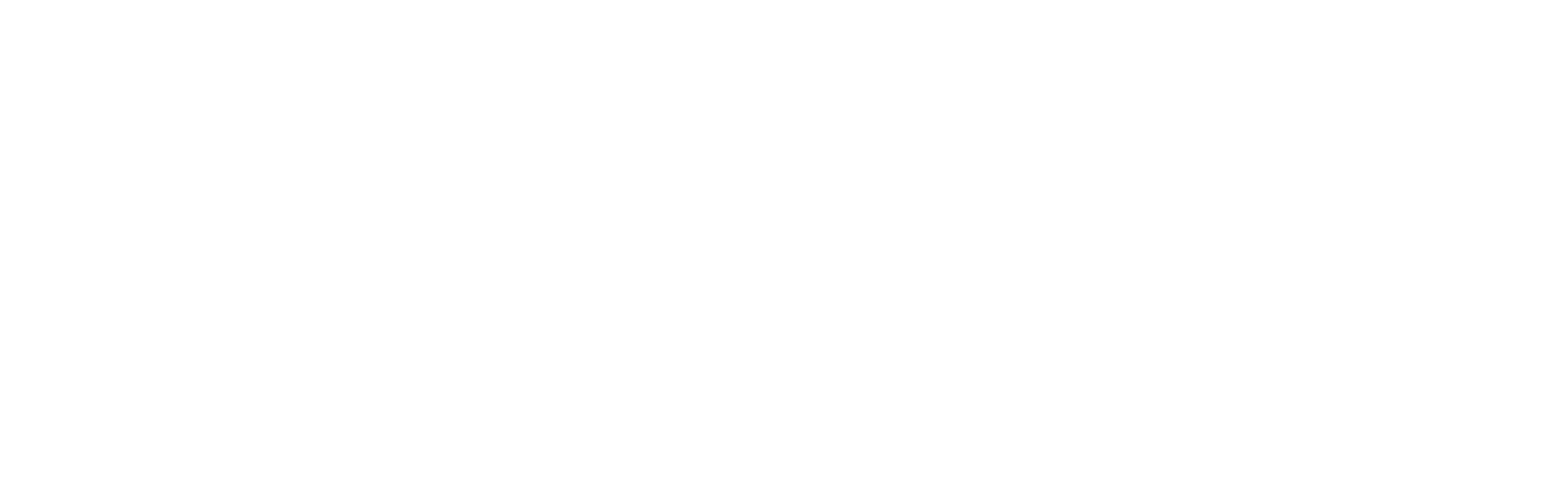 Hemolens_logo_horizontal_White (2)